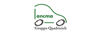 Gruppo Quadricicli
